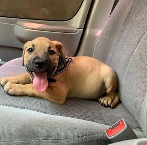 Meet your Posher, Erick